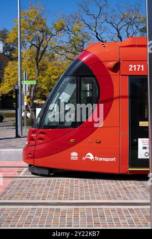 Ngara Tram Station im Cumberland Hospital Stockfoto