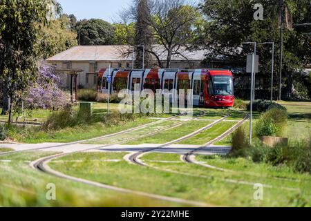 Ngara Tram Station im Cumberland Hospital Stockfoto