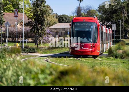 Ngara Tram Station im Cumberland Hospital Stockfoto