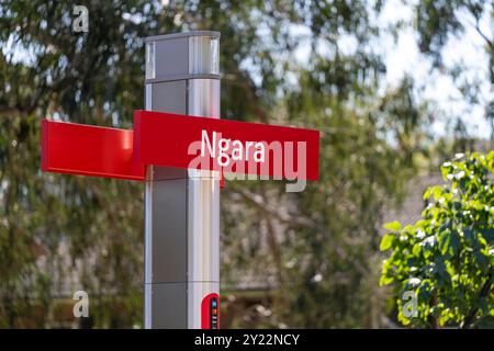 Ngara Tram Station im Cumberland Hospital Stockfoto