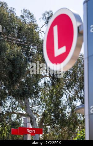 Ngara Tram Station im Cumberland Hospital Stockfoto