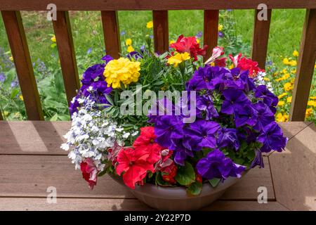 Issaquah, Washington, USA. Blumentopf, der auf dem Sitz einer Terrasse mit Petunien, Ringelblumen und nachfolgender Lobelie sitzt. Stockfoto