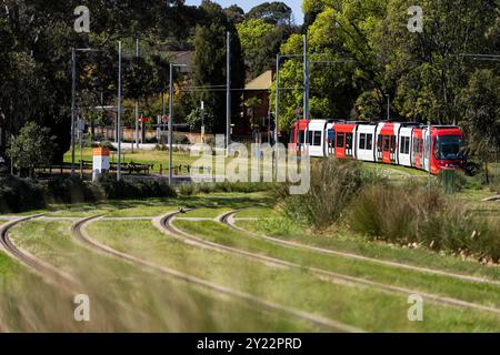 Ngara Tram Station im Cumberland Hospital Stockfoto