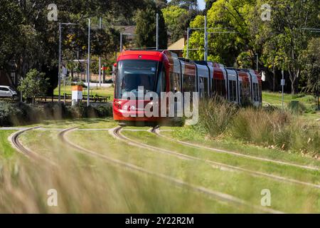 Ngara Tram Station im Cumberland Hospital Stockfoto