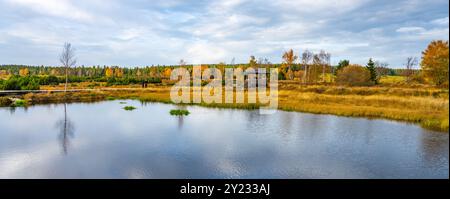 Das Pernink-Torfmoor zeigt leuchtende Herbstfarben mit goldenen Gräsern und orangefarbenem Laub, das sich auf dem ruhigen Wasser widerspiegelt, inmitten einer ruhigen Landschaft im Erzgebirge in Tschechien. Stockfoto