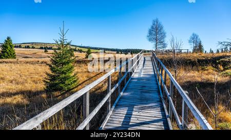 Eine hölzerne Promenade führt durch das weitläufige Bozi dar Torf Mog, das eine lebendige Vegetation vor der Kulisse des Erzgebirges unter einem klaren blauen Himmel zeigt. Stockfoto