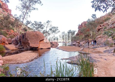 Pfad zu Simpsons Gap, Burt Plain, West MacDonnell Ranges, West MacDonnell National Park (Tjoritja), Northern Territory, Australien Stockfoto