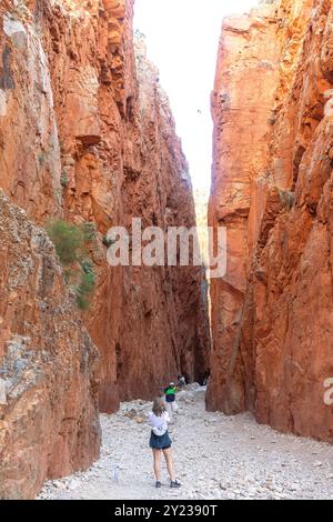 Standley Chasm, Hugh, West MacDonnell Ranges, West MacDonnell National Park (Tjoritja), Northern Territory, Australien Stockfoto