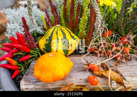 Herbstliche Dekoration im Vorgarten. Stockfoto