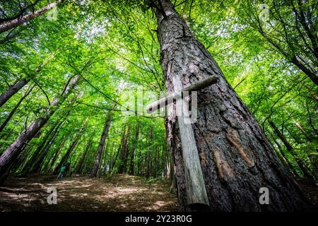 Votivkreuz im Wald, Aufstieg zur Holzkirche, Ulucz, Flusstal Saint, Woiwodschaft Kleinpolen, Karpaten, Polen, europa Stockfoto