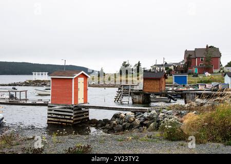 Blick auf Trinity Bay von Heart's Content, Neufundland & Labrador, Kanada Stockfoto