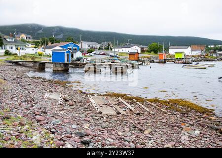 Blick auf Trinity Bay von Heart's Content, Neufundland & Labrador, Kanada Stockfoto