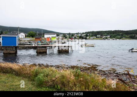 Blick auf Trinity Bay von Heart's Content, Neufundland & Labrador, Kanada Stockfoto