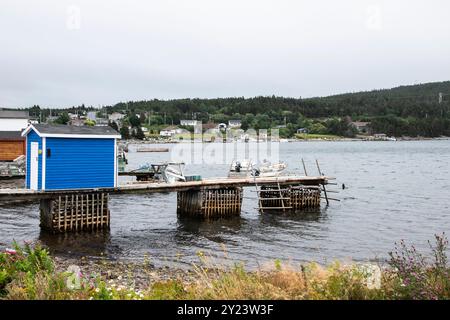 Blick auf Trinity Bay von Heart's Content, Neufundland & Labrador, Kanada Stockfoto