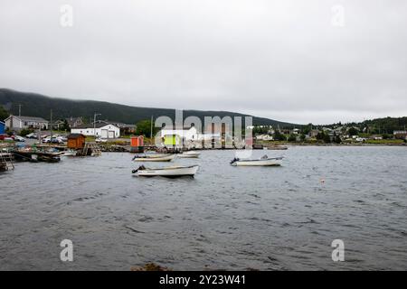 Blick auf Trinity Bay von Heart's Content, Neufundland & Labrador, Kanada Stockfoto