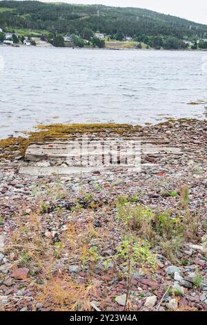 Blick auf Trinity Bay von Heart's Content, Neufundland & Labrador, Kanada Stockfoto