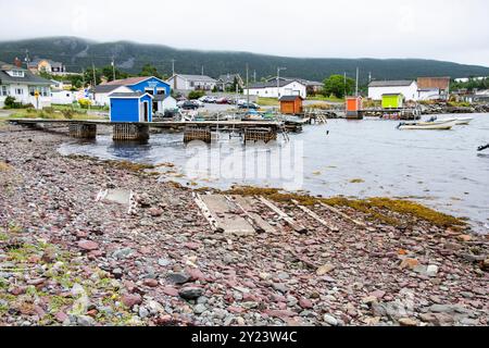 Blick auf Trinity Bay von Heart's Content, Neufundland & Labrador, Kanada Stockfoto