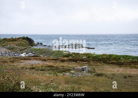 Blick auf Trinity Bay von Heart's Delight - Islington, Neufundland und Labrador, Kanada Stockfoto