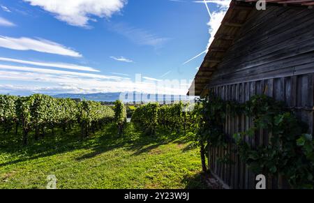 Kressbronn am Bodensee in Deutschland | Bodensee Stockfoto