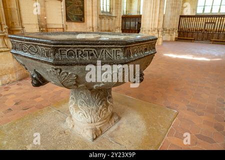 Taufbecken im Innenraum der Klosterkirche des Königlichen Klosters Brou in Bourg-en-Bresse, Frankreich, Europa | Klosterkirche Taufbecken, die Stockfoto