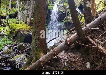 Wildwasserpfad, Mariensee, Niederösterreich, Österreich Stockfoto