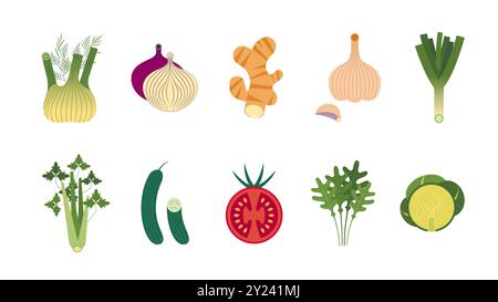 collection of Natural Organic Vegetables, Healthy Vector Green Foods and spices Stock Vektor