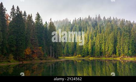 Herrlicher Bergsee im Herbstnebel. Schöne Naturlandschaft mit Nadelwald. Die Oberfläche des Wassers spiegelt die Schönheit der exquisiten Landschaft wider. Myste Stockfoto