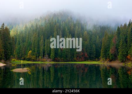 Herrlicher Bergsee im Herbstnebel. Schöne Naturlandschaft mit Nadelwald. Die Oberfläche des Wassers spiegelt die Schönheit der exquisiten Landschaft wider. Adven Stockfoto