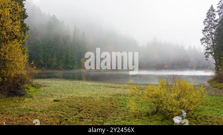 Herrlicher Bergsee im Herbstnebel. Schöne Naturlandschaft mit Nadelwald. Die Oberfläche des Wassers spiegelt die Schönheit der exquisiten Landschaft wider. Entspannen Sie sich Stockfoto