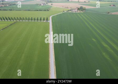 Fesselnder Blick aus der Luft auf eine malerische italienische Landstraße, die von Zypressen und üppigen Feldern unter einem sonnigen Himmel flankiert wird. Die Natur herrscht in Stockfoto