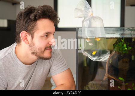 Der Mensch akklimatisiert Fische mit der Schwimmbeutelmethode an das Hausaquarium Stockfoto