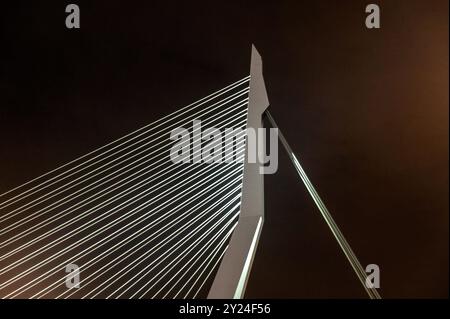 Die Erasmusbrug, oder schlank auf Englisch, vollendete 1996 die Nieuwe Maas, Rhein über Rotterdam Hafen Stockfoto