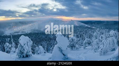 Schneebedeckte Hanglagen im arktischen Wald in der Abenddämmerung Stockfoto