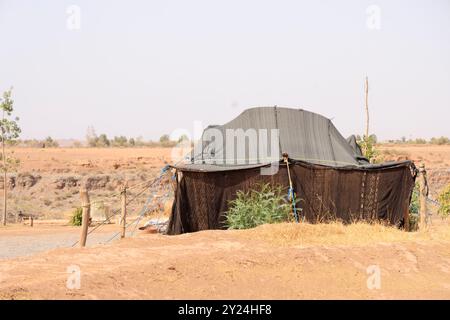 Nomadenlager mit Dromedaren und Kamelfahrer in der Wüstenlandschaft nahe dem Mittleren Atlas in Marokko. Marokko, Nordafrika. Foto von Hug Stockfoto