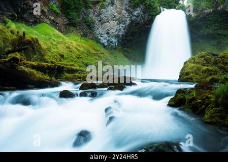Die Koosah Falls stürzen sich in einen lebendigen grünen Wald mit moosigen Felsen Stockfoto