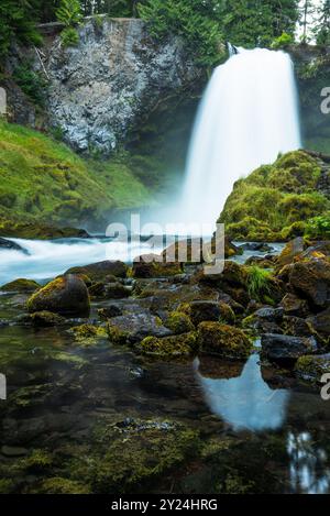 Koosah Falls reflektieren auf moosigen Felsen in einer üppigen Waldlandschaft Stockfoto