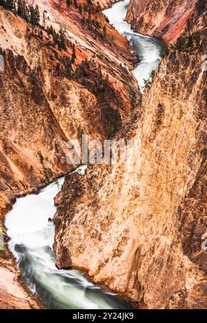 Ein lebendiger Canyon mit steilen Klippen und einem sich windenden Fluss in Yellowstone. Stockfoto