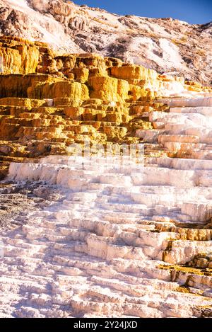 Detaillierter Blick auf die Mineralterrassen im Yellowstone-Nationalpark. Stockfoto