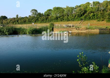 River Avon, Saltford Weir, Saltford in der Nähe von Bath, Somerset. Stockfoto