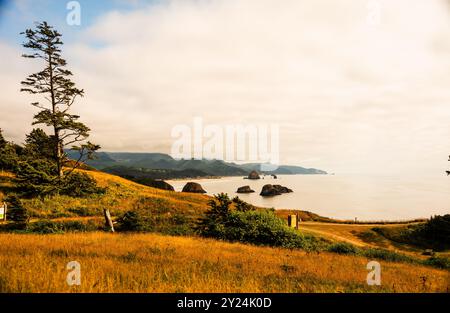 Die Küstenlandschaft von Oregon mit Meeresstapeln und goldenen Stunden-Beleuchtung. Stockfoto