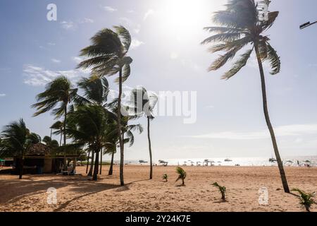 Wunderschöne Aussicht auf Kokospalmen am Ufer des Tambaú Beach Stockfoto