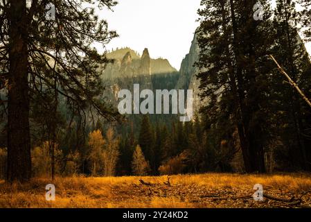 Yosemites drei Brüder umrahmt von Bäumen, Nebel und goldener Wiese. Stockfoto