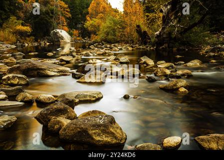 Felsiges Flussbett mit Herbstlaub, das sich in ruhigem fließendem Wasser spiegelt. Stockfoto