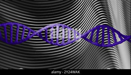 DNA-Strang über schwarzen und weißen Wellenlinien, wissenschaftliches Konzept Stockfoto
