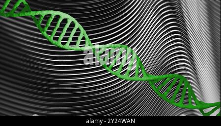 DNA-Strang über schwarzen und weißen Wellenlinien, wissenschaftliches Konzept Stockfoto