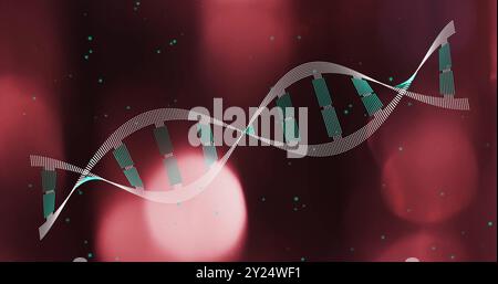 DNA-Strangbild über verschwommenem rotem und rosa Licht Stockfoto