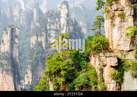 Fantastischer Blick auf grüne Bäume, die auf Felsen wachsen (Avatar Rocks) Stockfoto