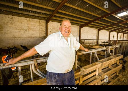 Jaume Pons, handwerkliche Herstellung von Mahon-Käse, Alcaiduset, Alaior, Menorca, Balearen, Spanien. Stockfoto