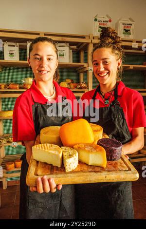 Handwerkliche Herstellung von handwerklichem Mahon-Käse, Alcaiduset, Alaior, Menorca, Balearen, Spanien. Stockfoto