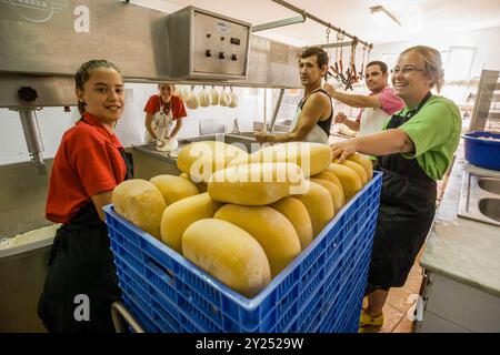 Handwerkliche Herstellung von handwerklichem Mahon-Käse, Alcaiduset, Alaior, Menorca, Balearen, Spanien. Stockfoto